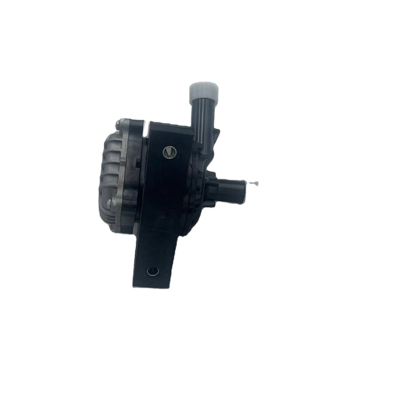 Chery Accessories Pump Assembly Electronics J72-1307010VA for Chery Automobile